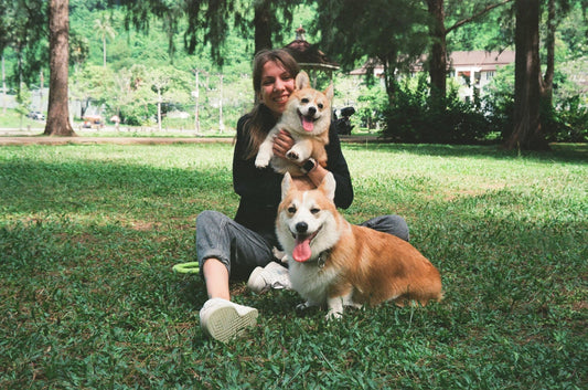 Las Mascotas Pueden Ayudar a Mejorar la Salud Mental 💆‍♀️🐾