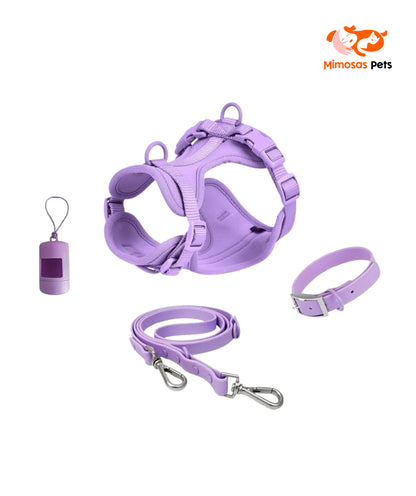 Kit de Paseo para Mascotas 4 en 1 - Color Lila