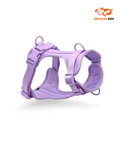 4 in 1 Pet Walking Kit - Purple