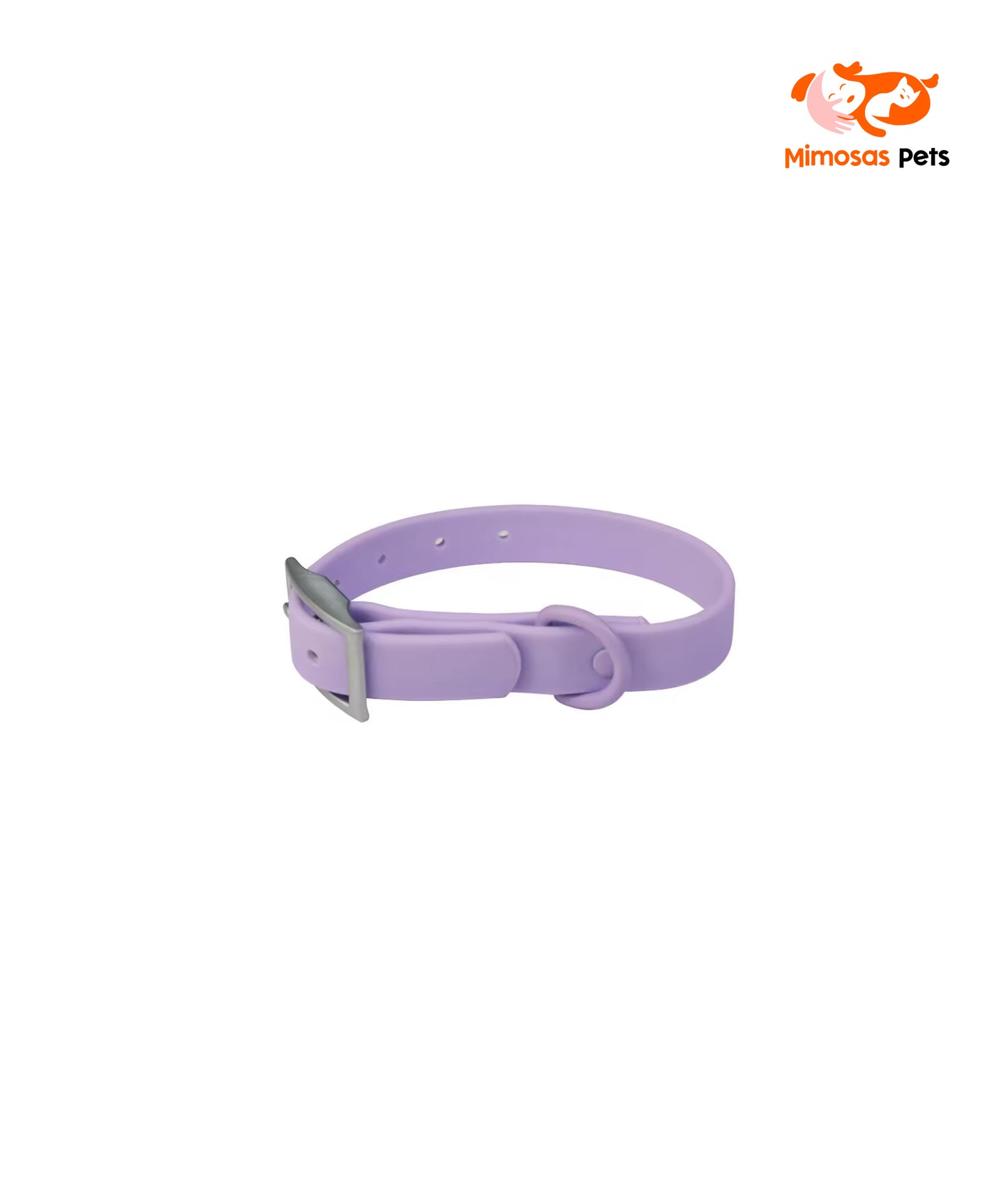 4 in 1 Pet Walking Kit - Purple