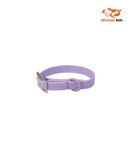 4 in 1 Pet Walking Kit - Purple