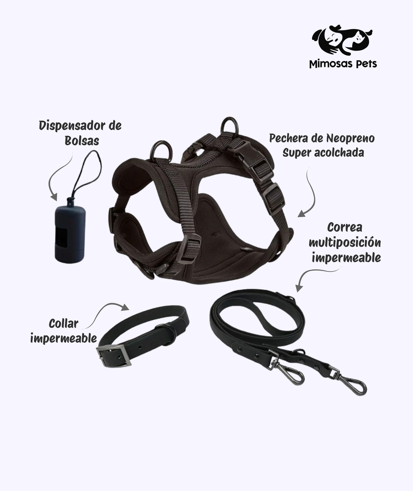 Kit de Paseo para Mascotas 4 en 1 - Color Negro