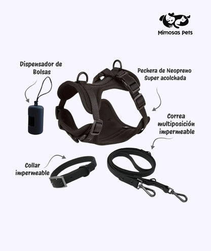 4 in 1 Pet Walking Kit - Black