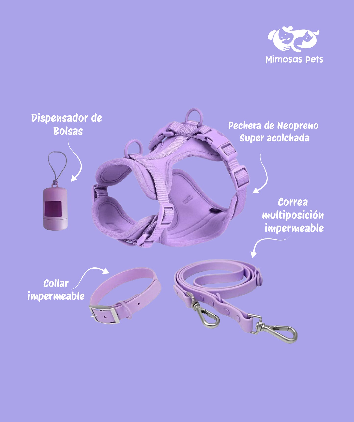 4 in 1 Pet Walking Kit - Purple