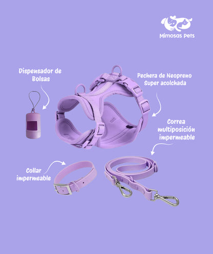 4 in 1 Pet Walking Kit - Purple